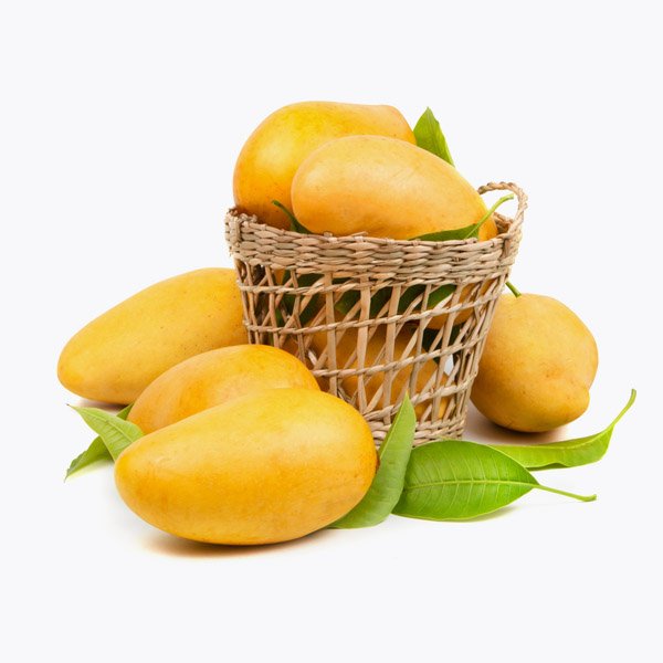 Instant Mango Juice – Image 2